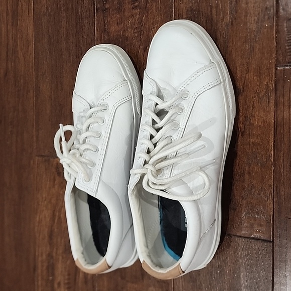 Sperry Canvas Shoes - Picture 4 of 4